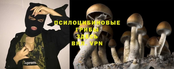 гидропоника Балабаново