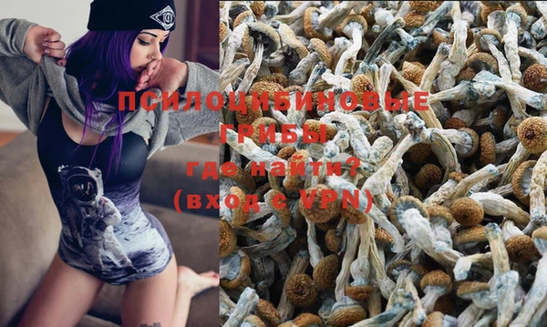 скорость Покачи