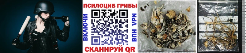 Галлюциногенные грибы мицелий  гидра зеркало  Верхоянск 